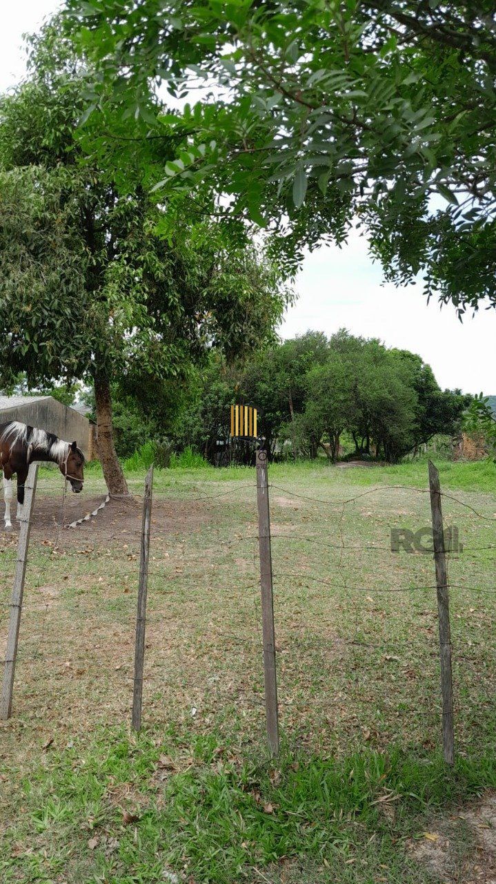 Terreno no bairro Lageado