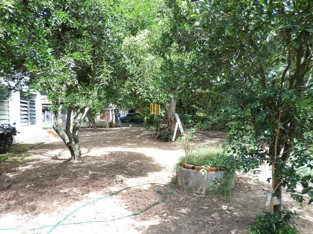 Terreno no Lami - Pilar Imóveis