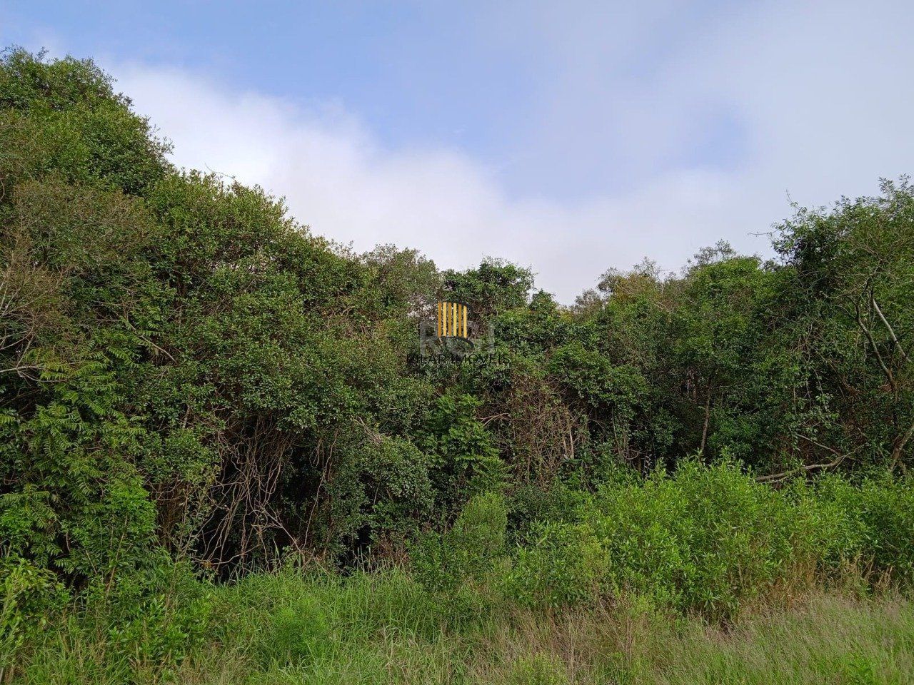 Terreno para Venda - 4950m², 0 dormitórios, Vila Nova, Porto Alegre