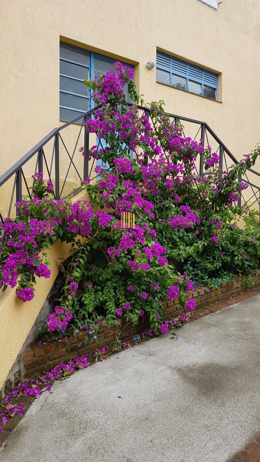 Casa Centenária no Bairro Belém Velho Residencial/Comercial