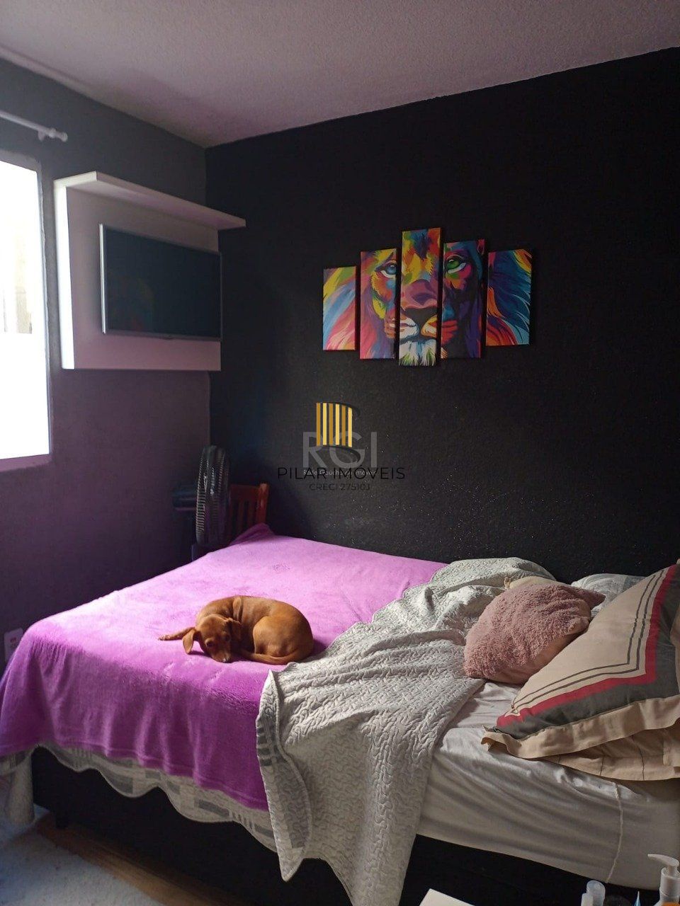 Apartamento 2 dormitórios, Cavalhada