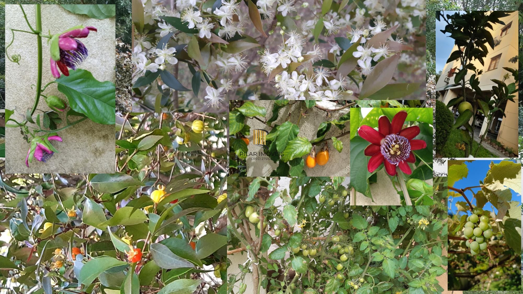 Apartamento com 03 quartos e 01 vaga escriturada no Bairro Tristeza