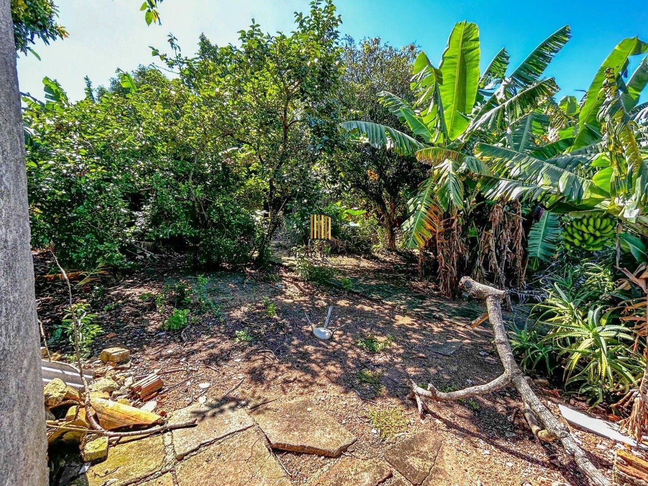 Terreno no bairro Tristeza