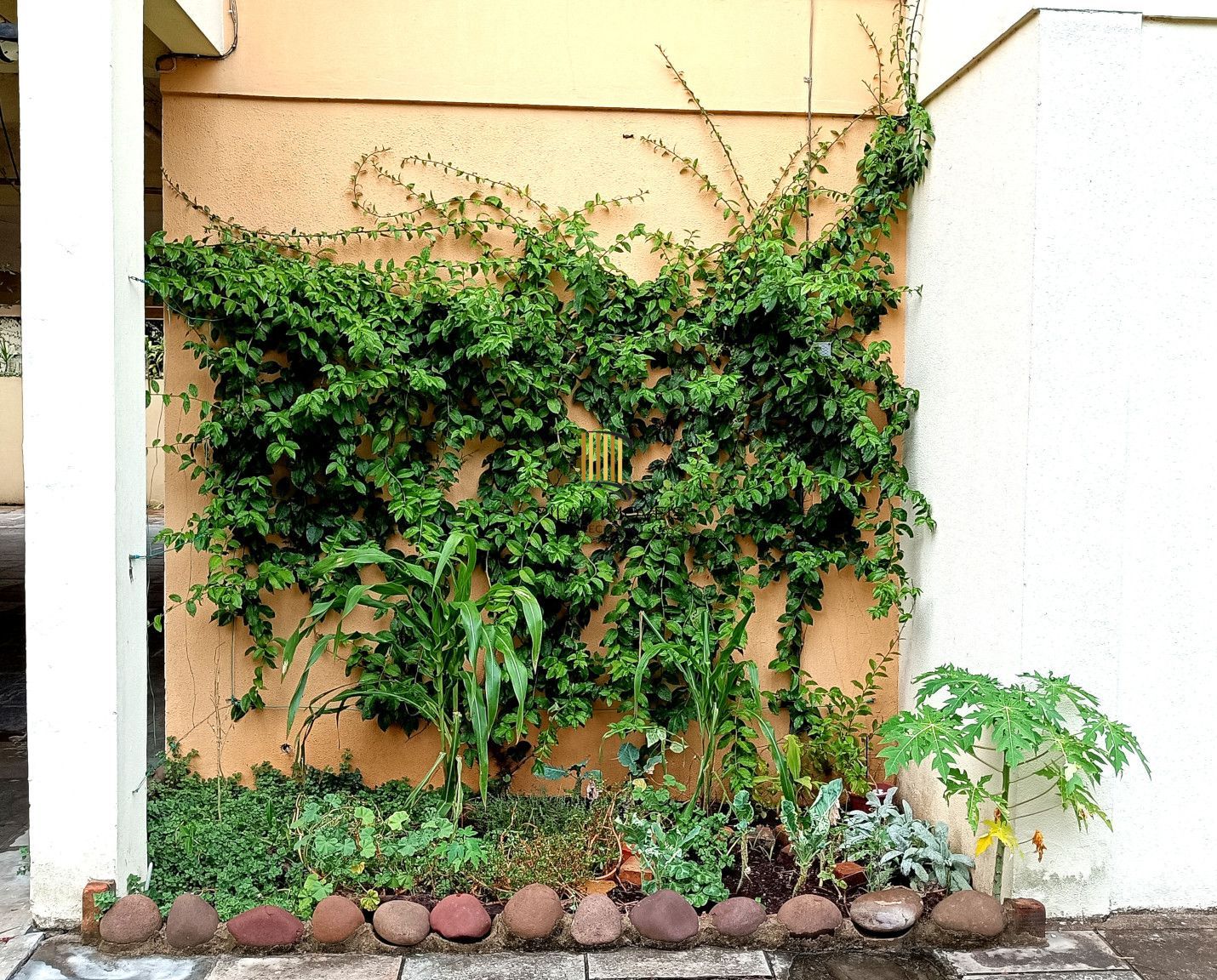 Apartamento com 03 quartos e 01 vaga escriturada no Bairro Tristeza