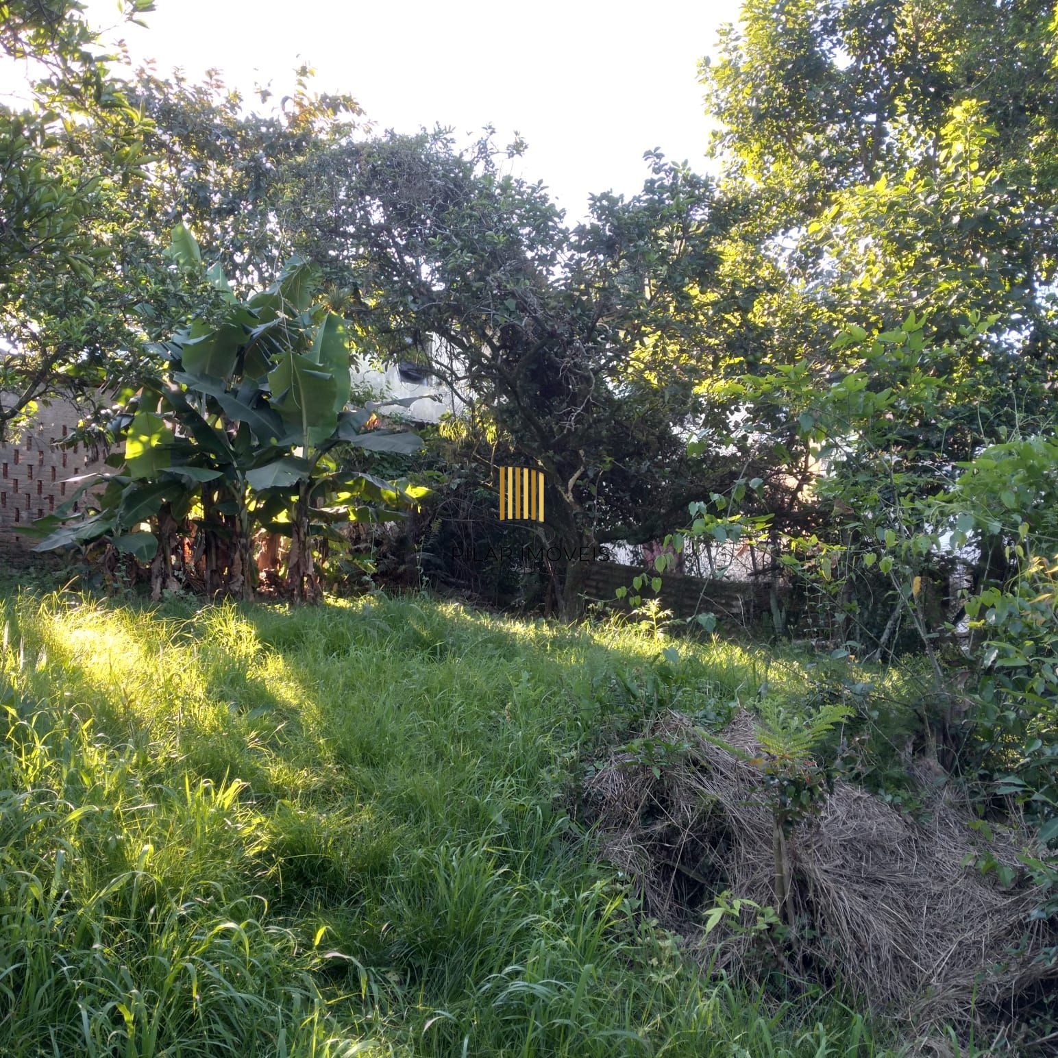 EXCELENTE TERRENO EM BELÉM VELHO