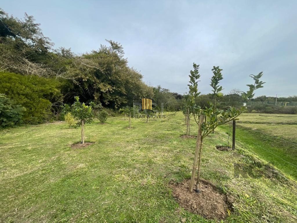 Terreno no bairro Vila Nova