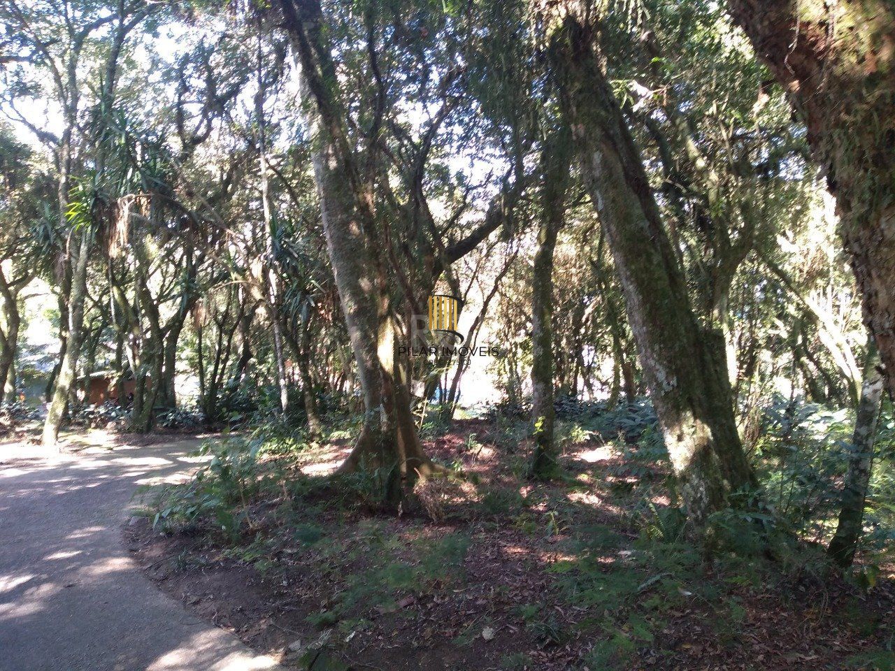 Sítio para Venda - 290m², 13 dormitórios, sendo 6 suites, 10 vagas - Belém Novo, Porto Alegre