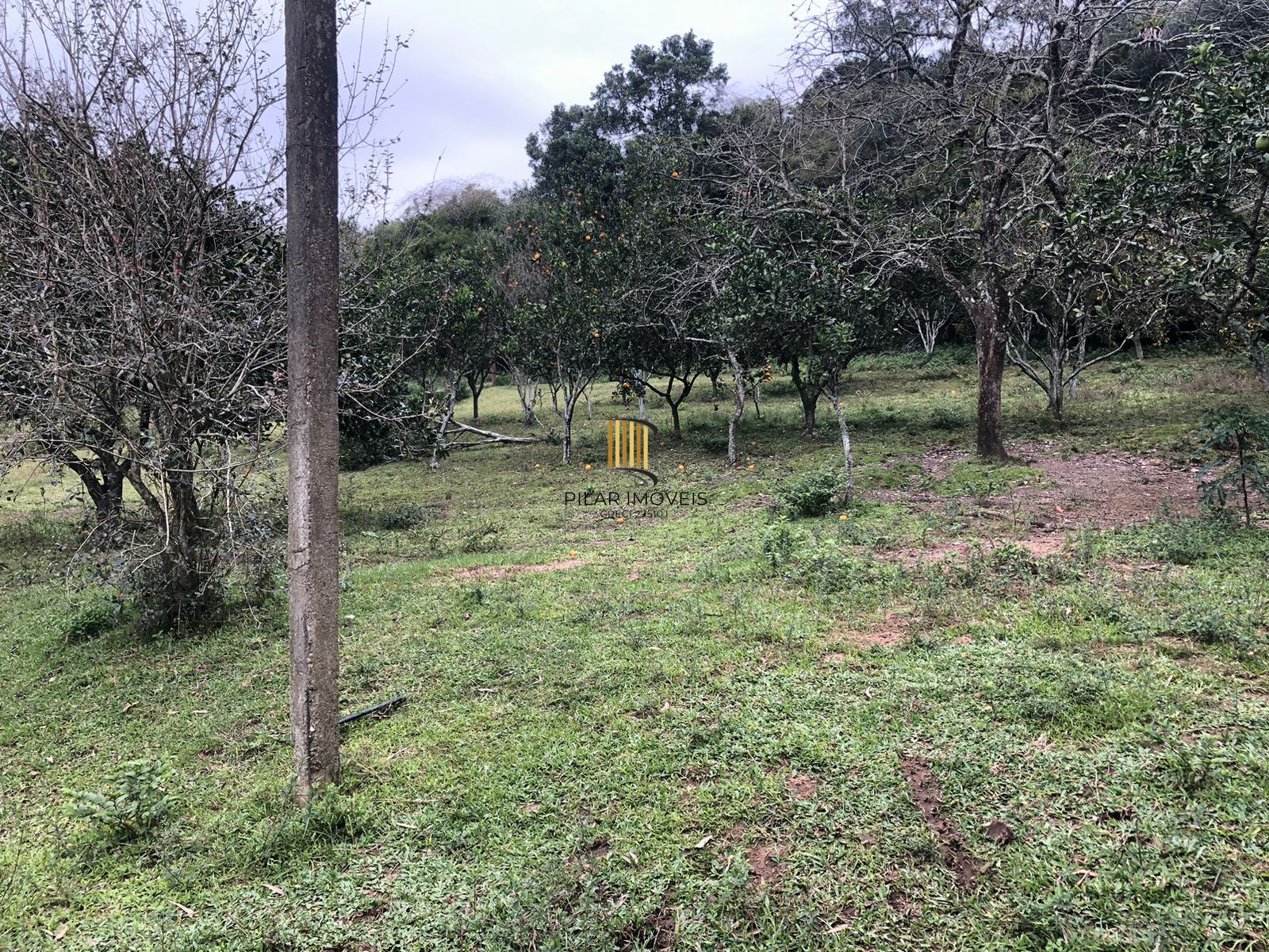 Sítio Rural de 121.672,00 M² no Bairro Belém Velho Poa-RS