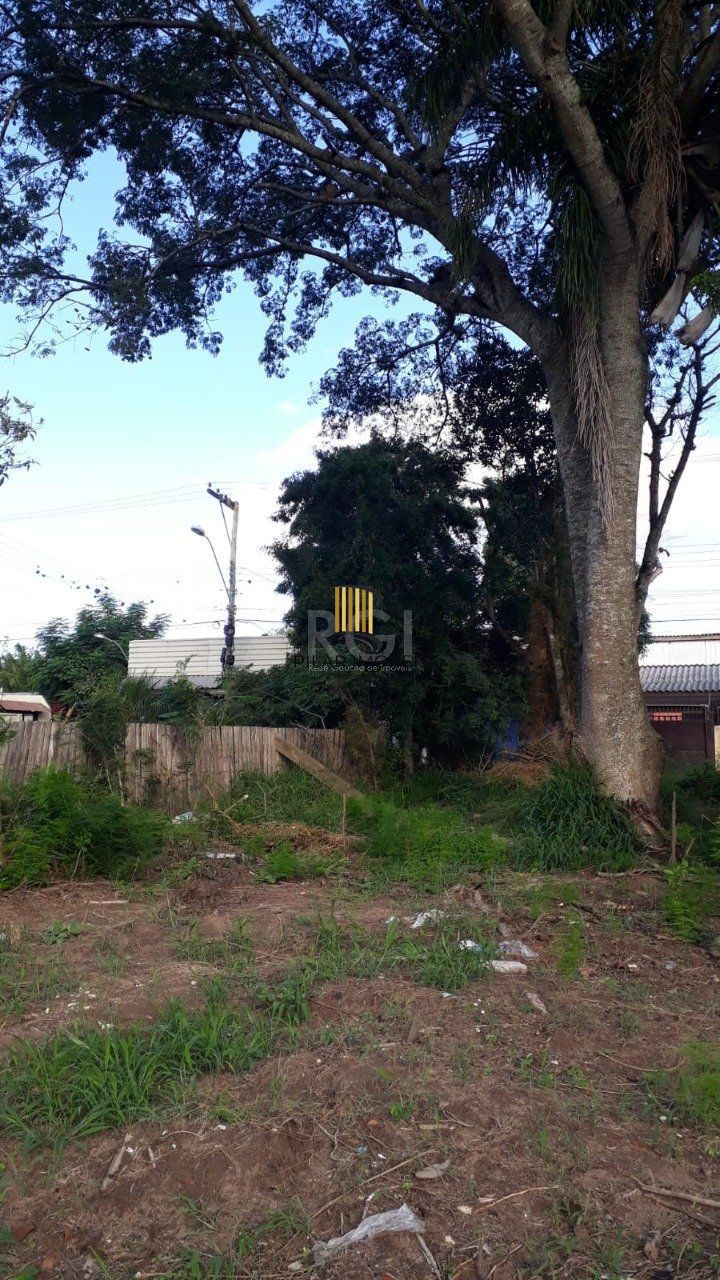 Terreno para Venda - 300M², Lageado, Porto Alegre