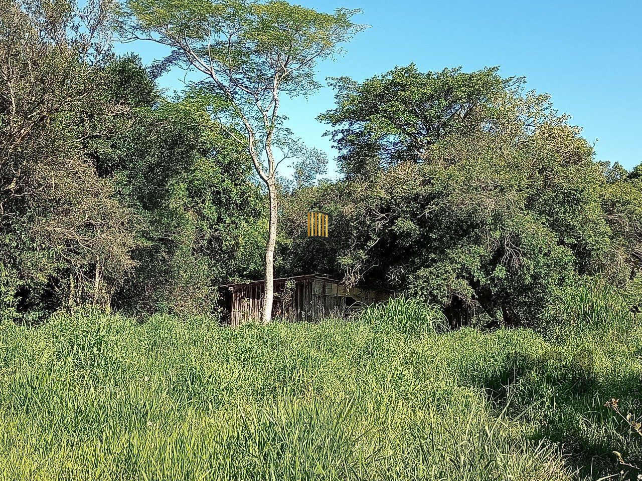 Sitio com 2hectares, Morro Grande em Viamão/RS