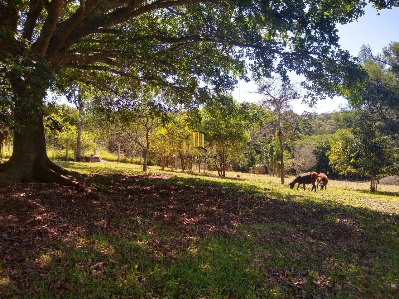 Sítio em Itapoã, Viamão/RS.  lazer e natureza o ano todo!