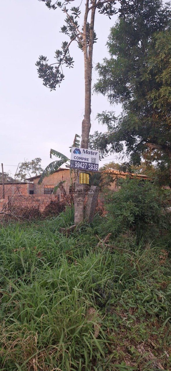 Terreno para Venda - 300M², Lageado, Porto Alegre