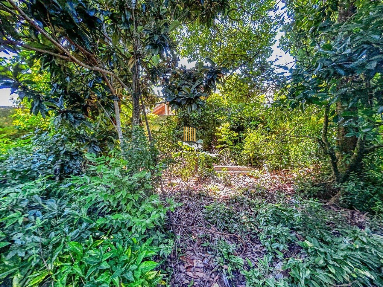 Terreno no bairro Tristeza