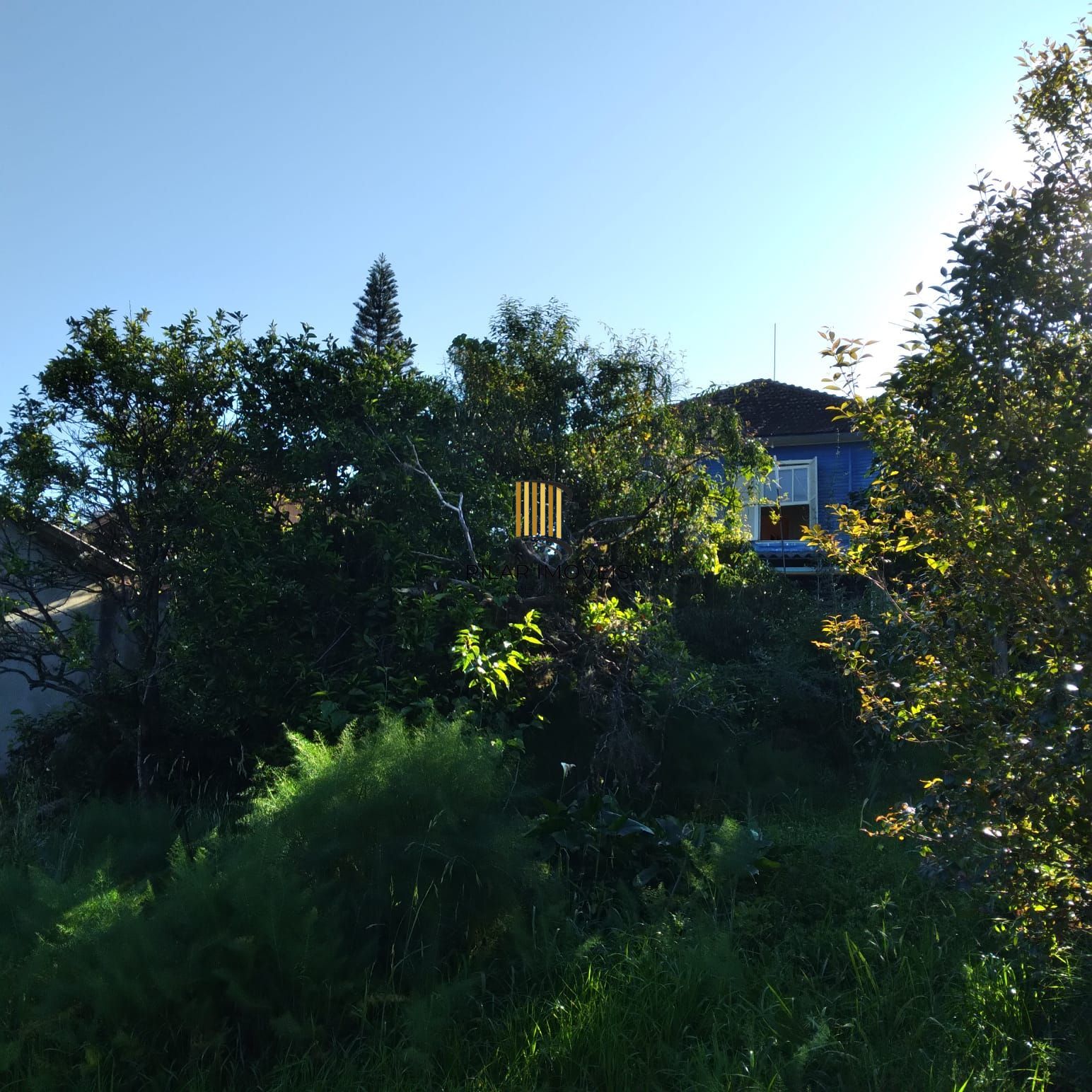 EXCELENTE TERRENO EM BELÉM VELHO