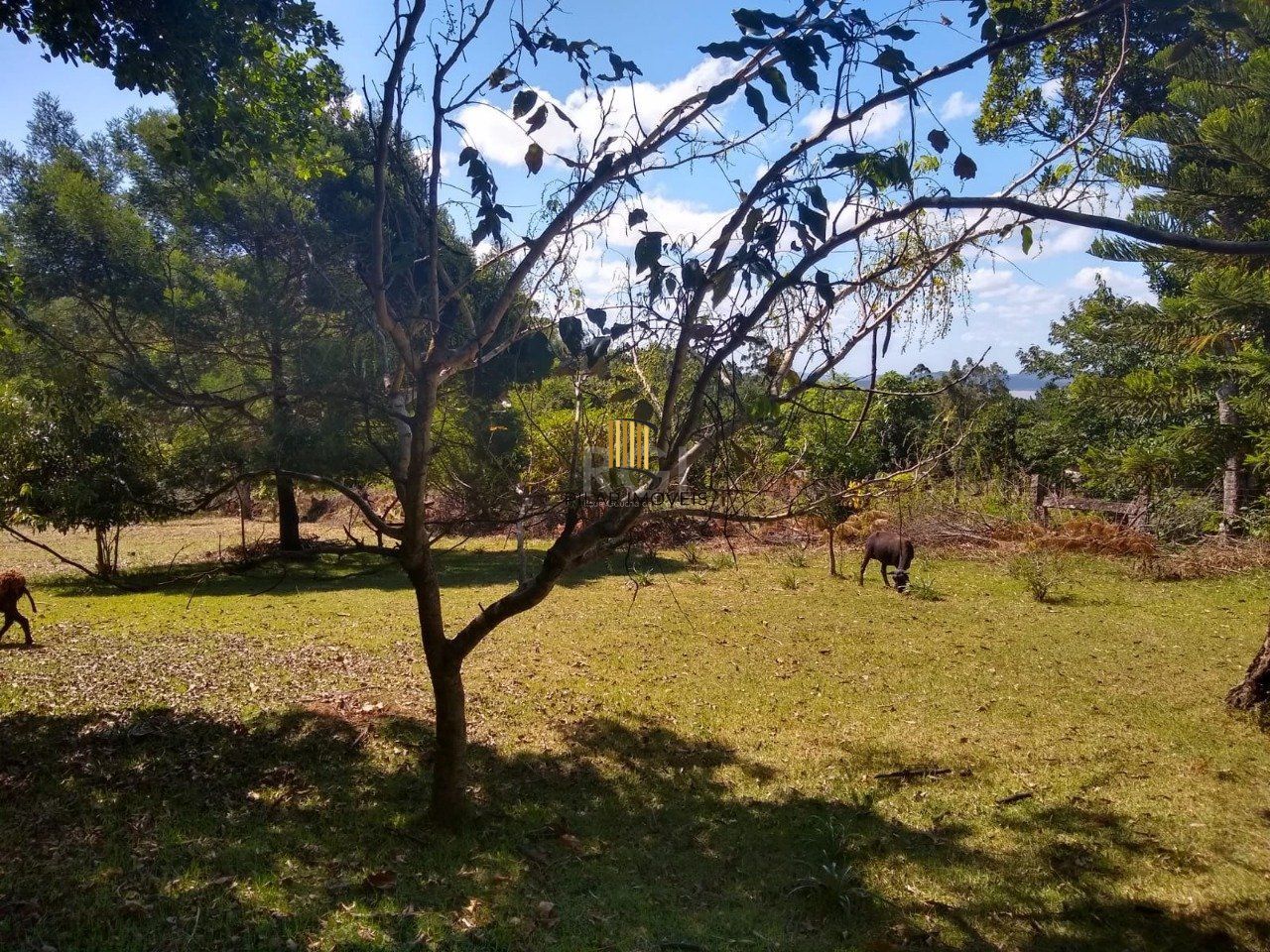 Sítio em Itapoã, Viamão/RS.  lazer e natureza o ano todo!