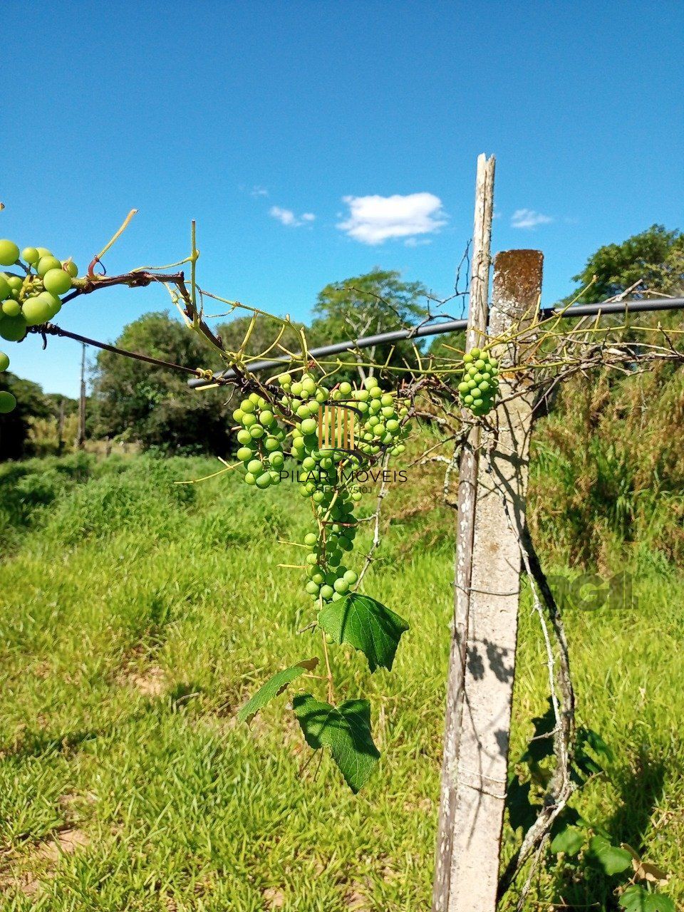 Sitio com 2hectares, Morro Grande em Viamão/RS