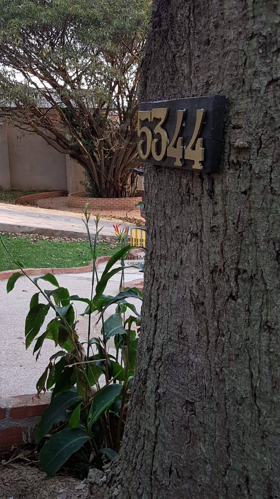 Casa Centenária no Bairro Belém Velho Residencial/Comercial