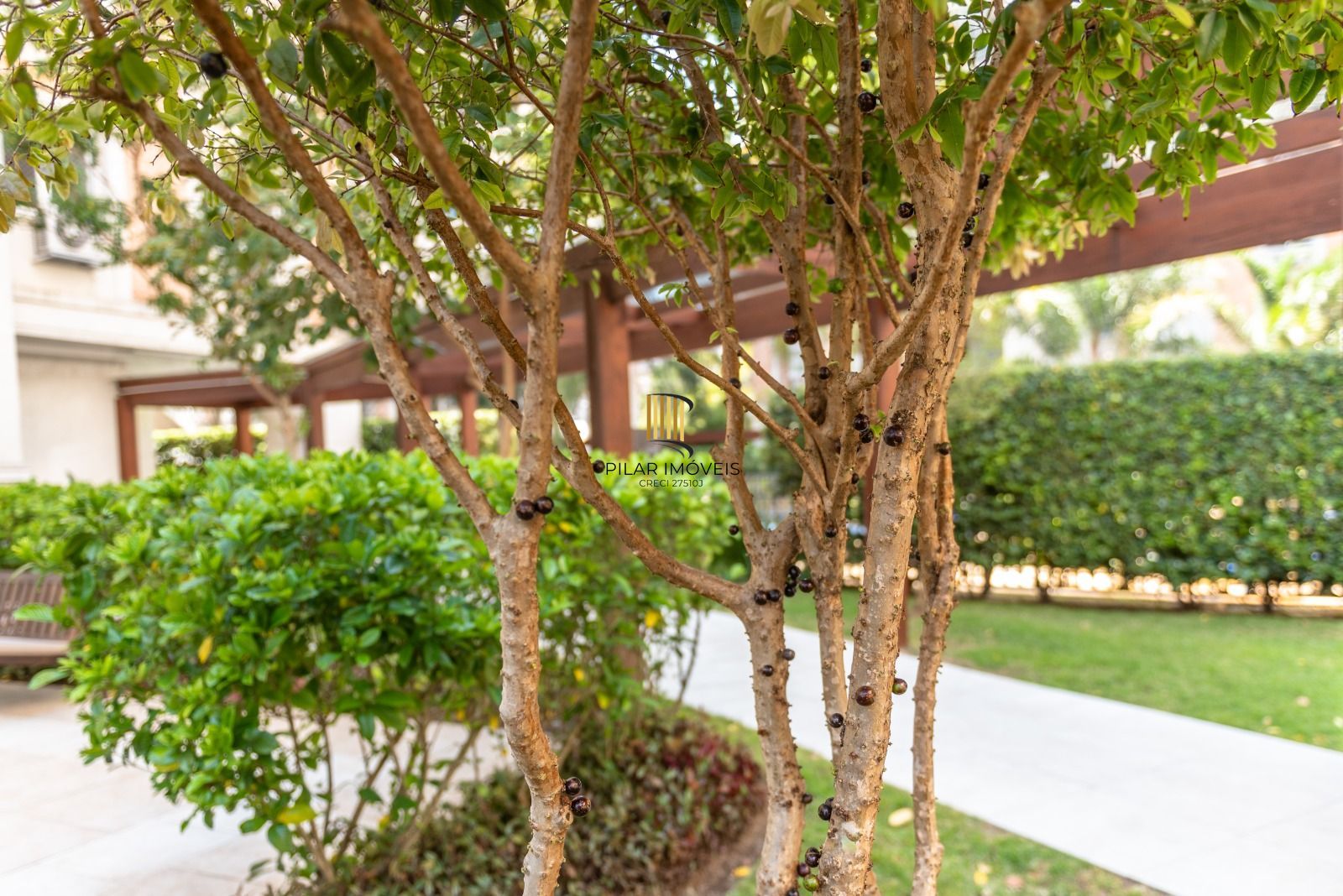 Apartamento / Jardins Novo Higienópolis