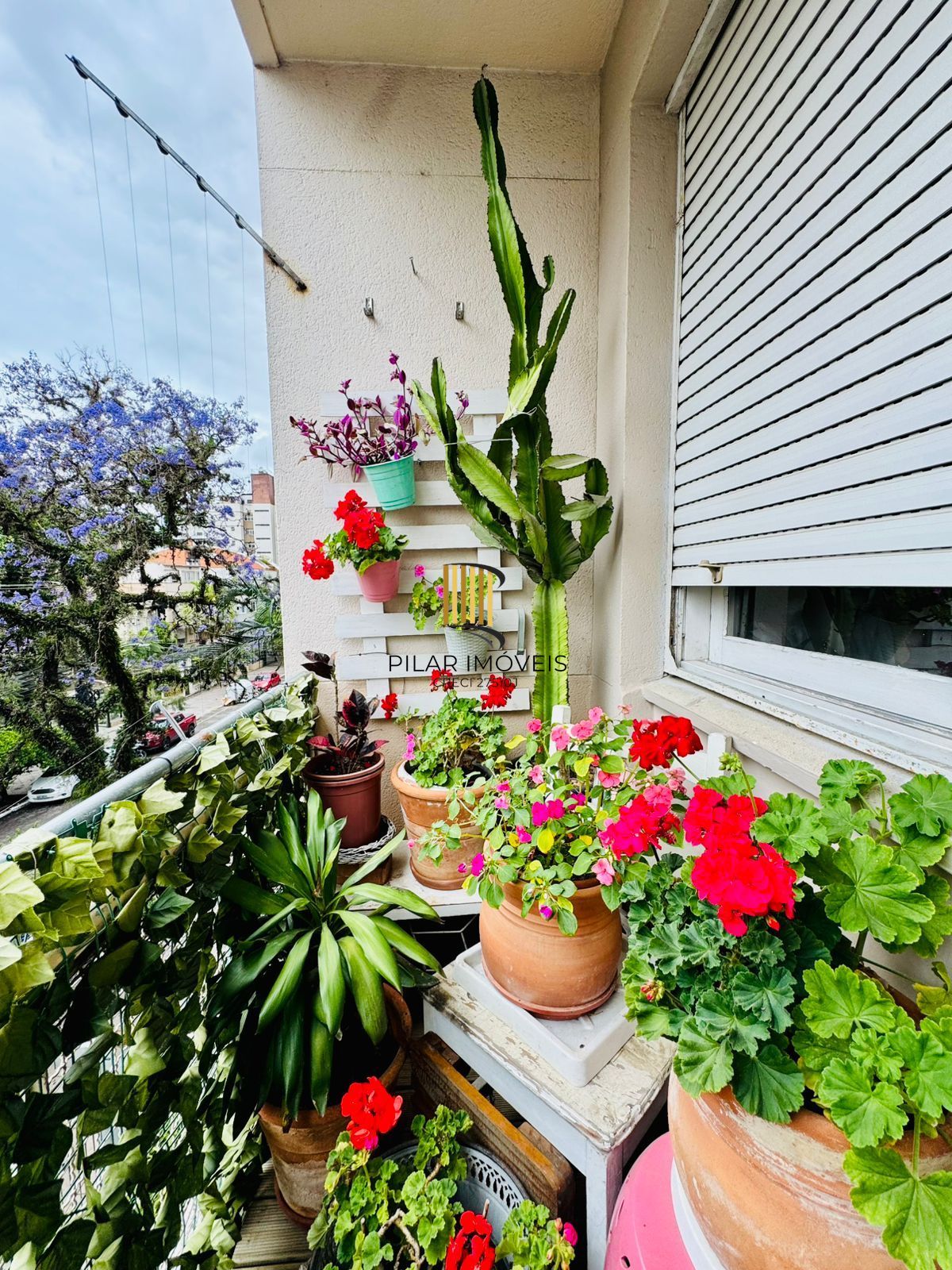 Bom Fim. Apartamento 3 dormitórios com living estendido.