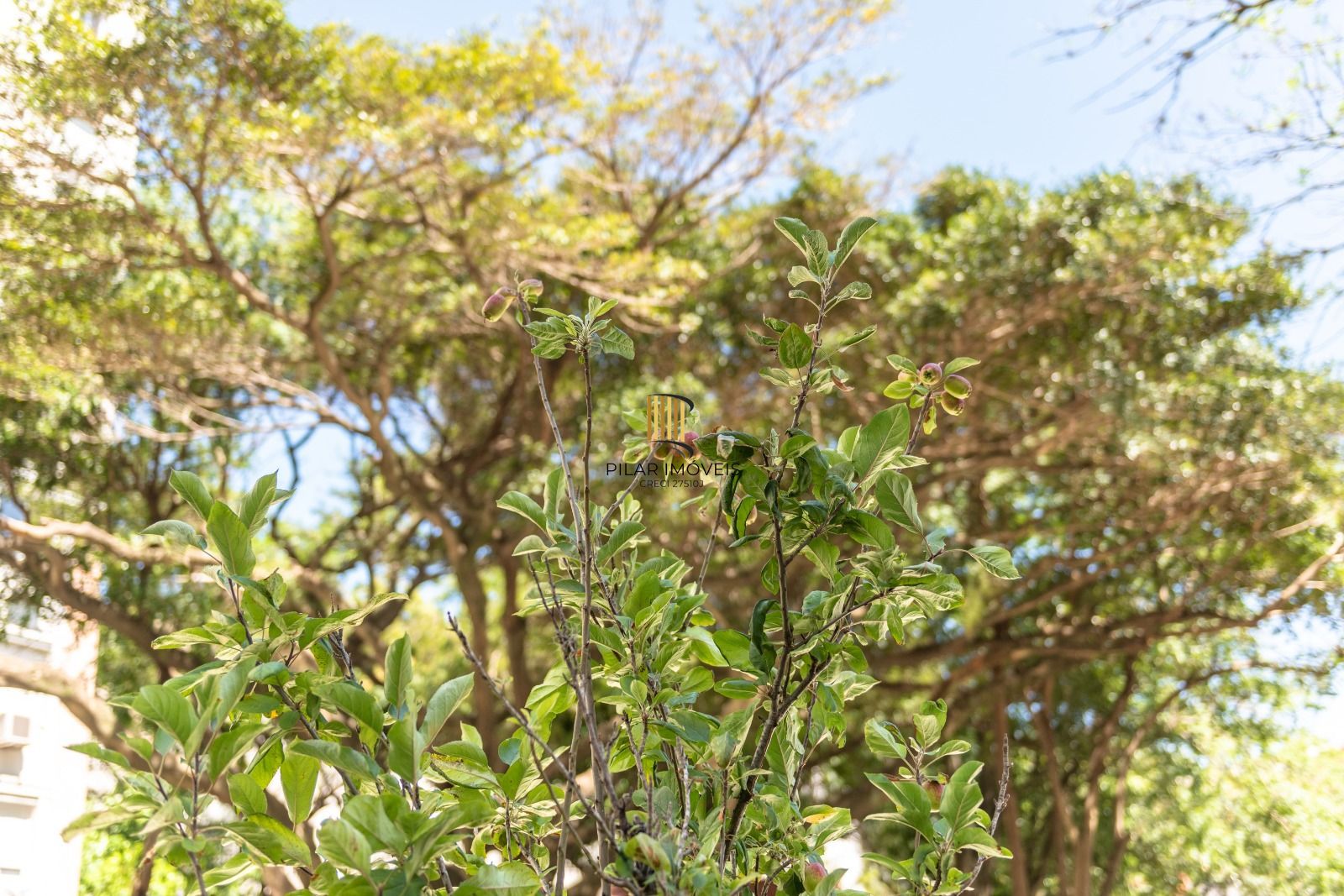 Apartamento / Jardins Novo Higienópolis