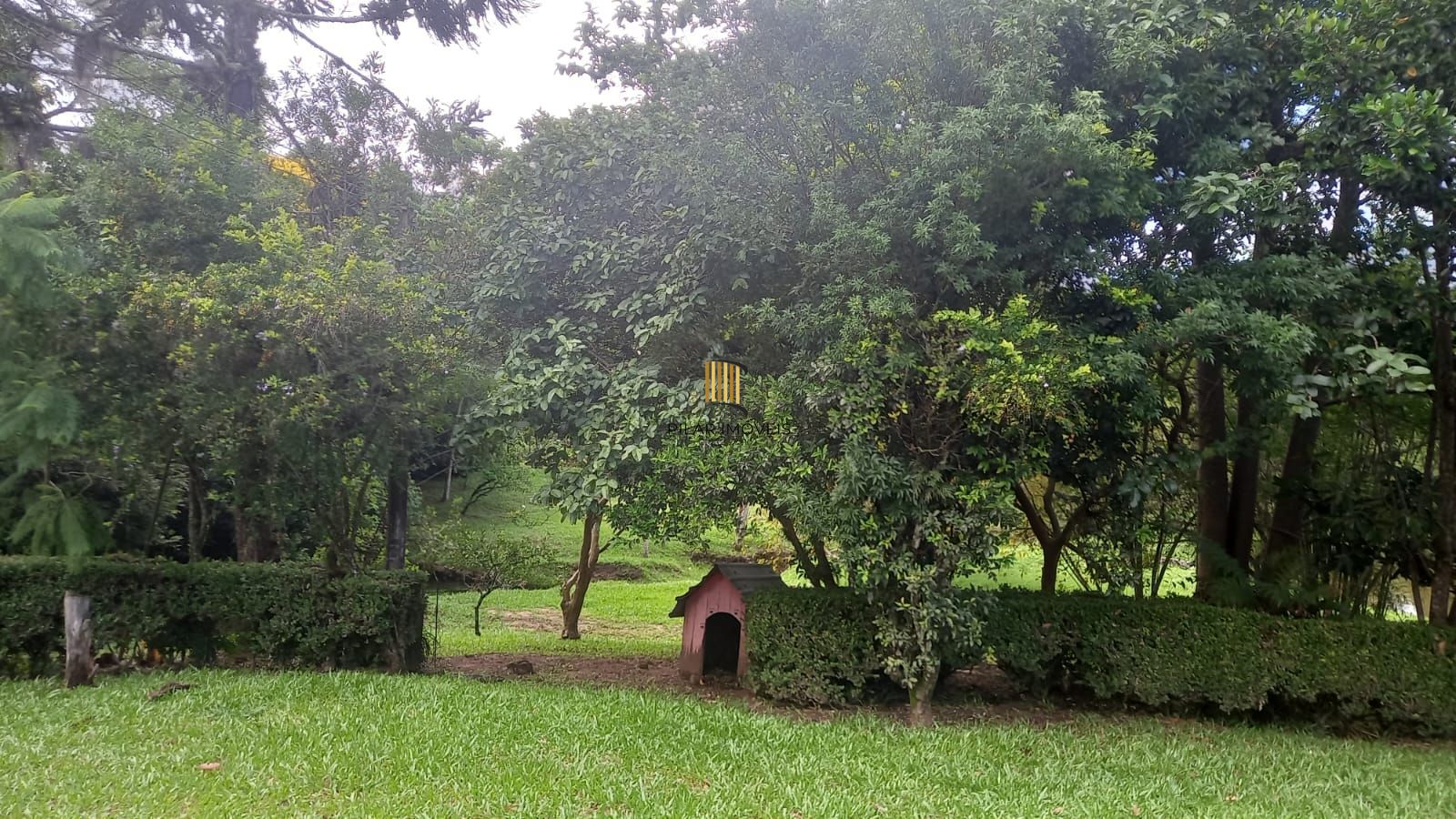 Sítio 3 dormitórios no bairro Canta Galo (Passo da Areia)