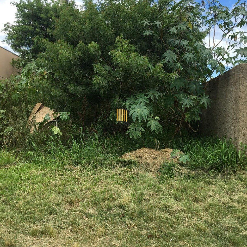 Terreno Bairro Ponta Grossa