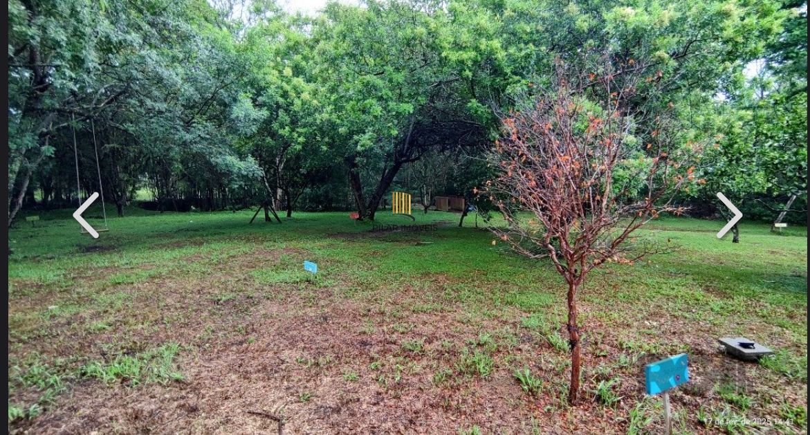 Terreno no bairro Campo Novo