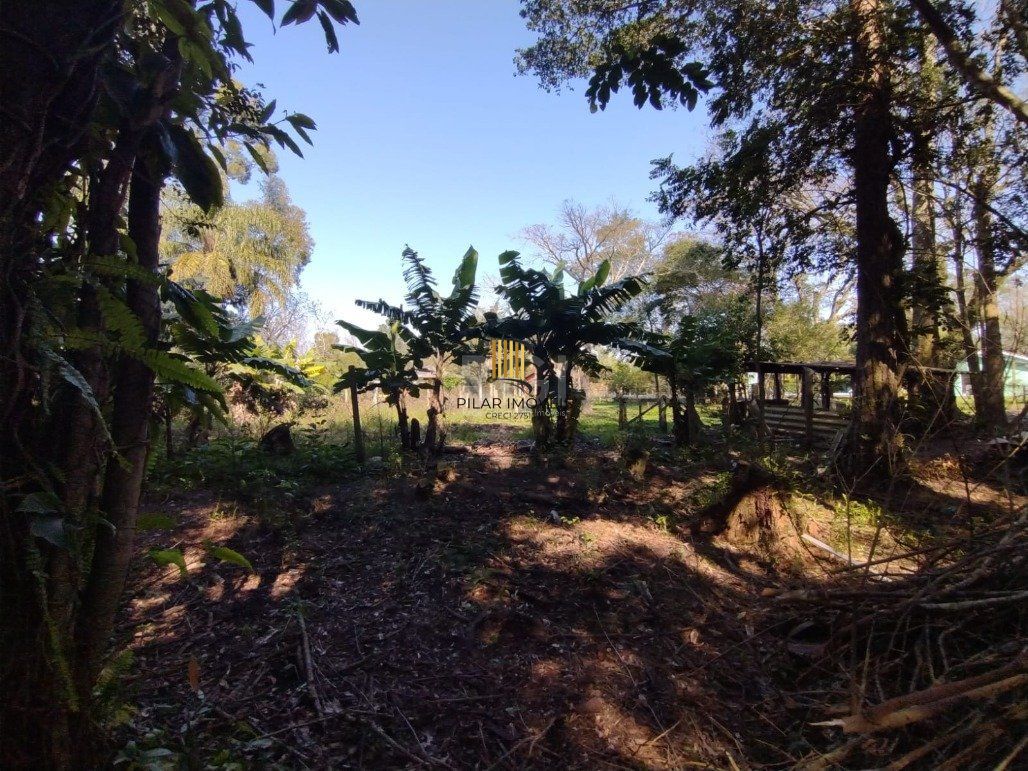 Sítio para Venda - 245m², 4 dormitórios, 10 vagas - Lami