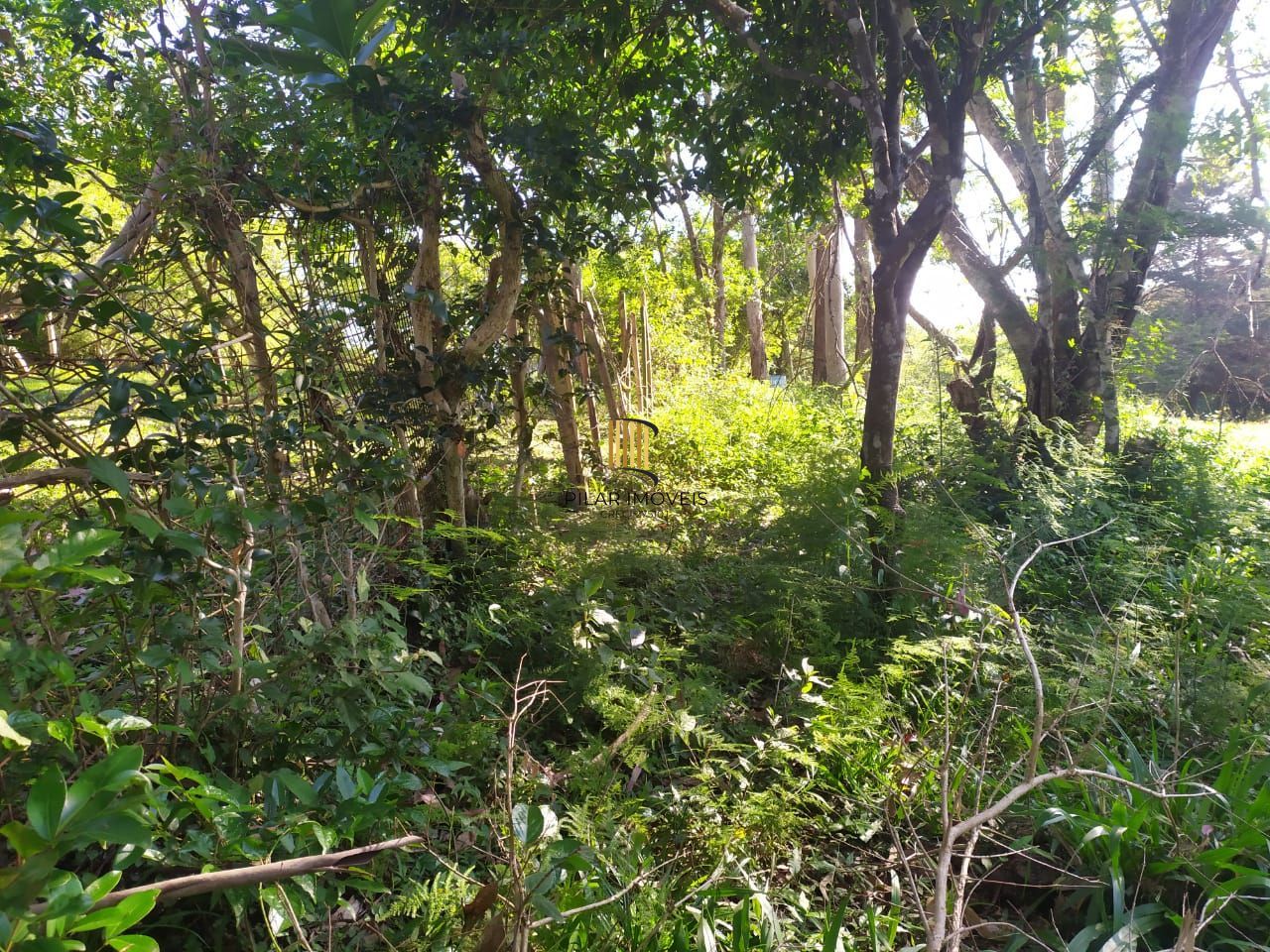 Terreno no bairro Área Rural de Itapuã