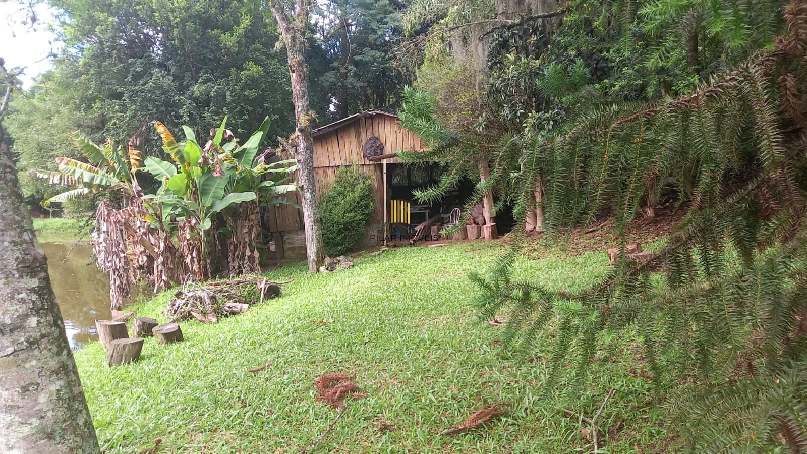 Sítio 3 dormitórios no bairro Canta Galo (Passo da Areia)