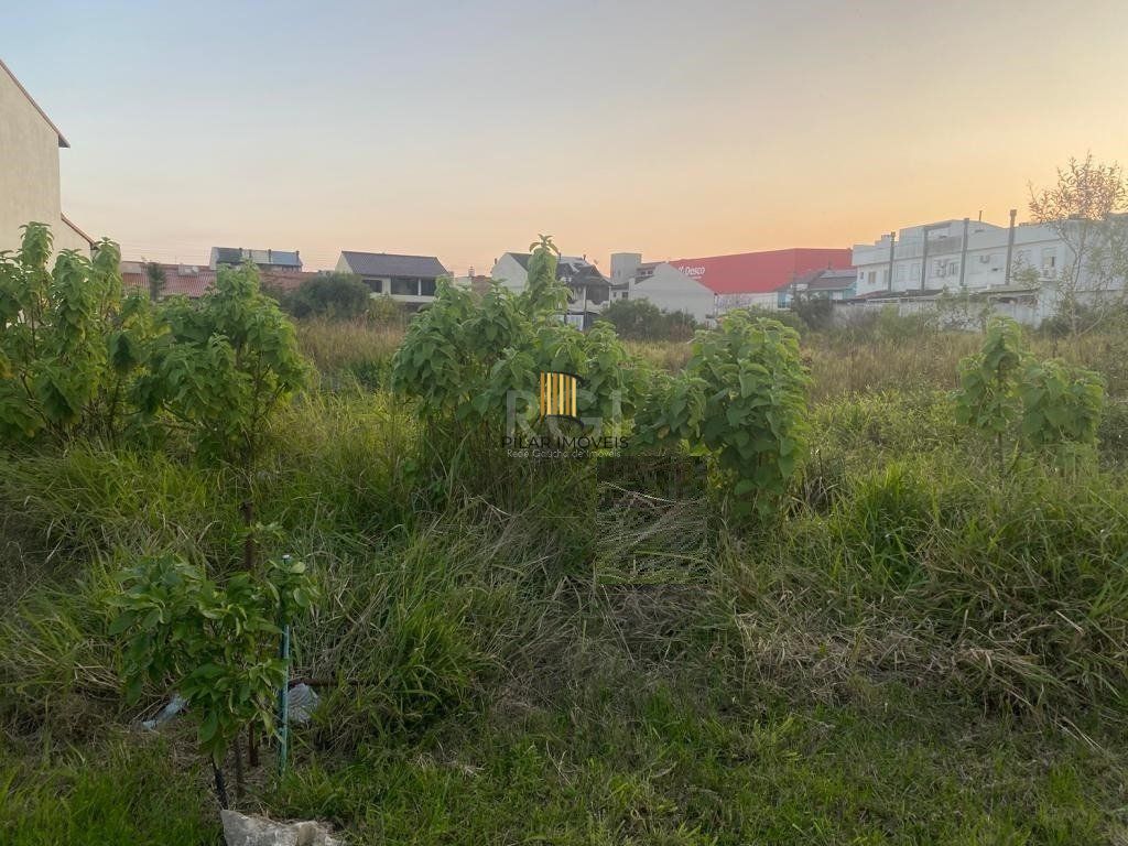 Terreno para Venda - 329.43m², 0 dormitórios, Hípica