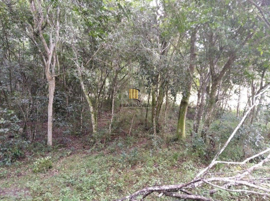 Terreno para Venda - 0m², 0 dormitórios, Central