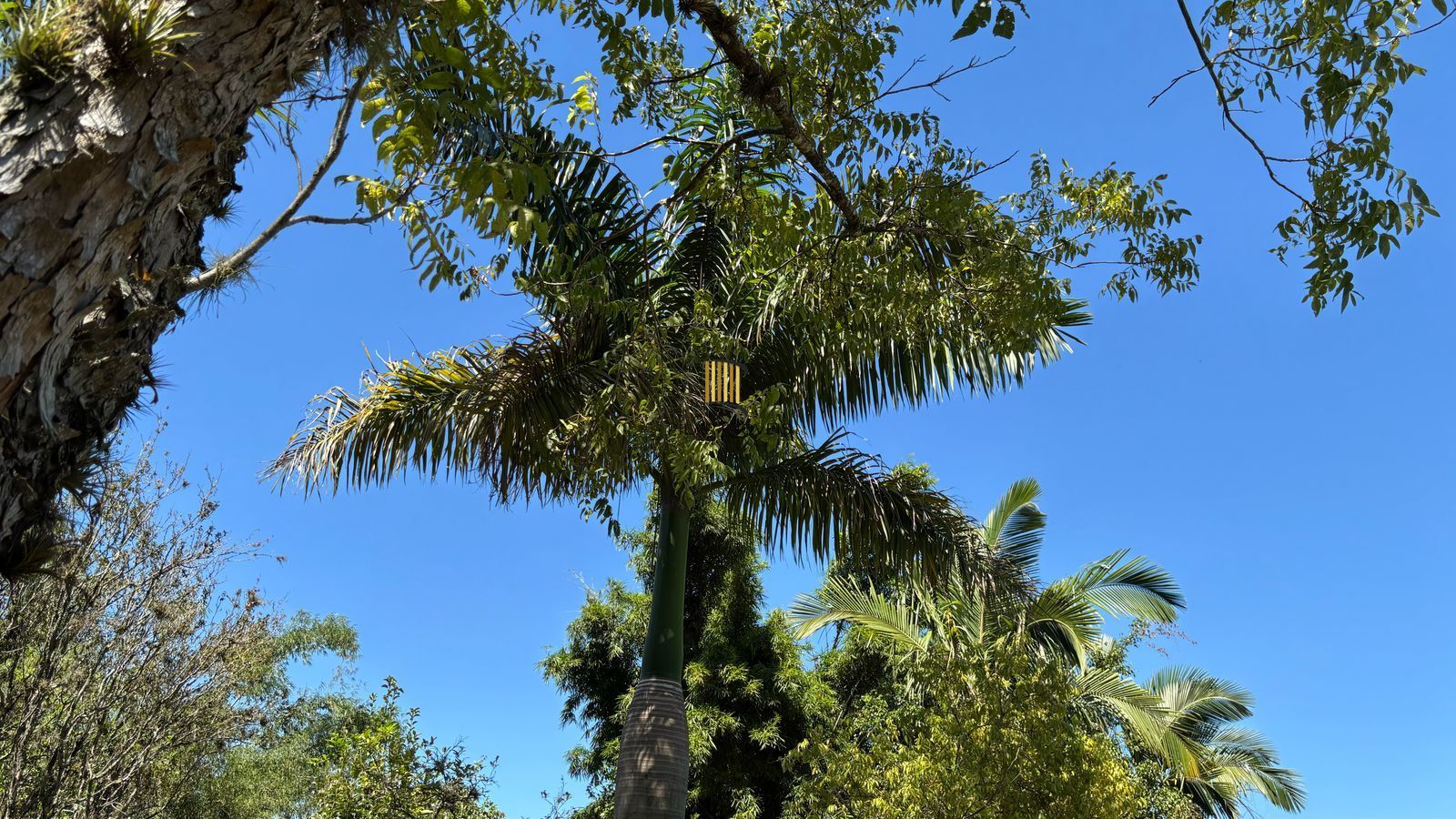 Sítio 5 dormitórios no bairro Chapéu do Sol