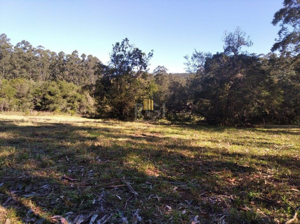 Sítio para Venda - 2500m², 0 dormitórios, Passo Da Areia
