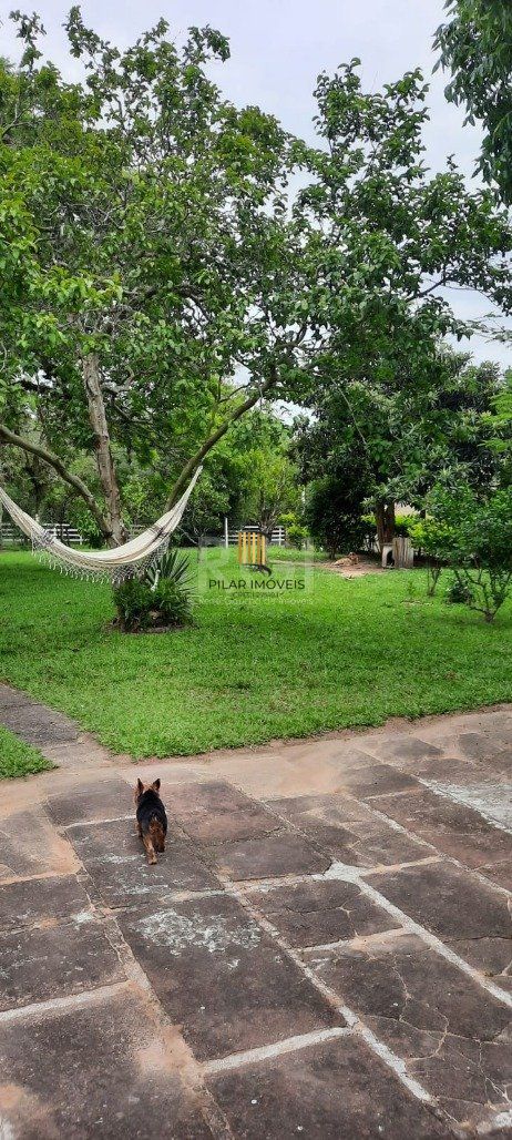 Sítio 3 Dormitório(s) Bairro Lami