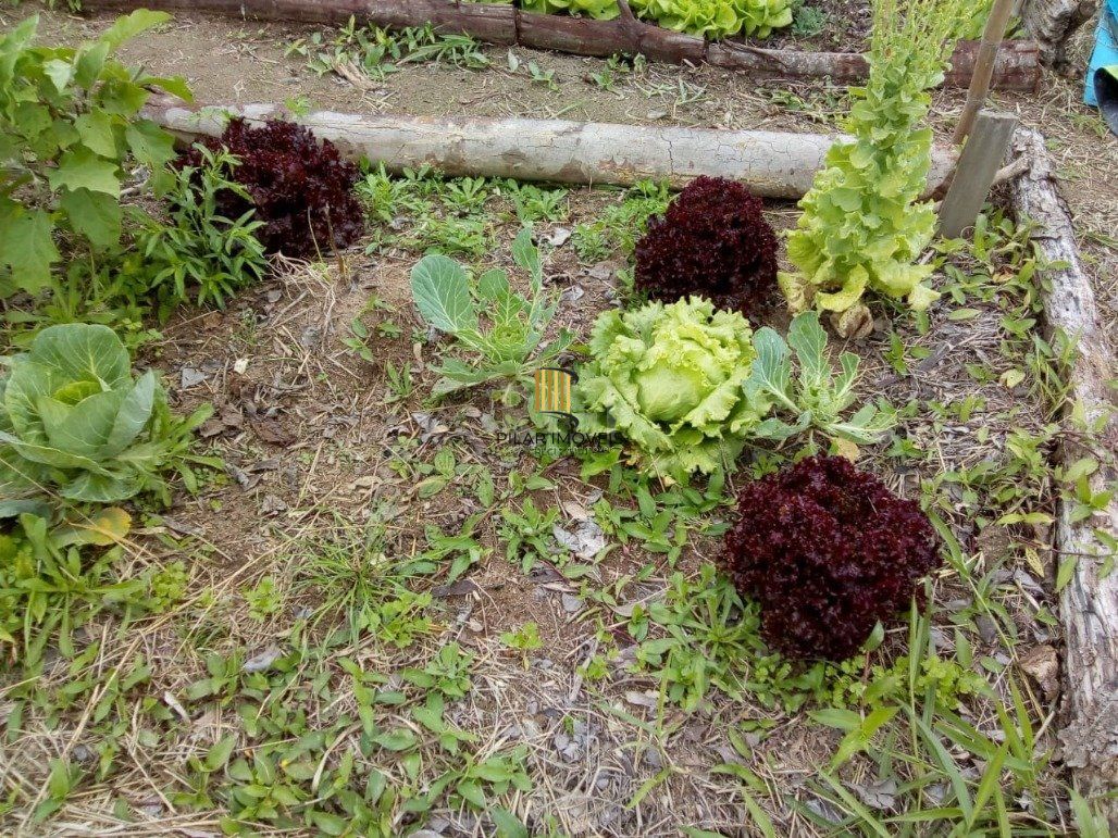 Terreno Bairro Lami