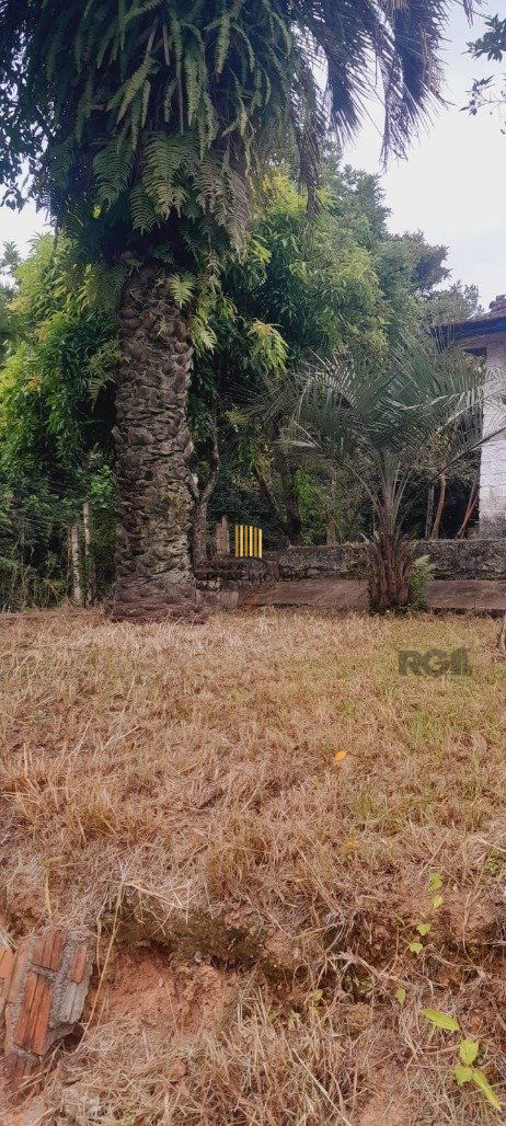 Terreno Bairro Belém Novo