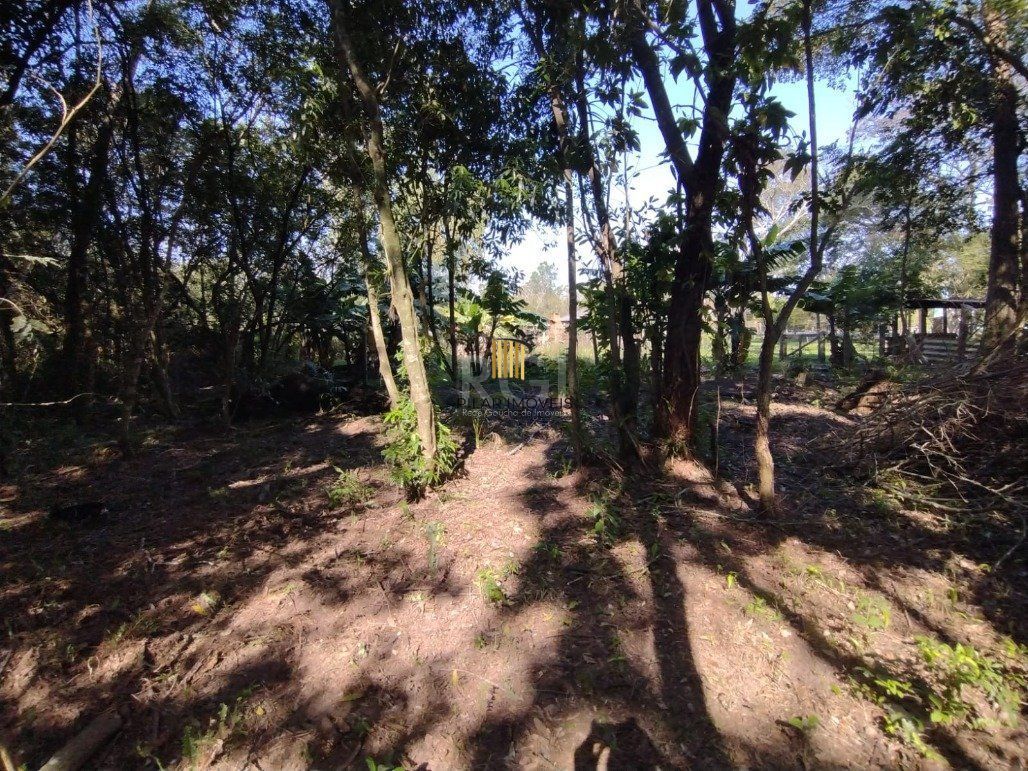 Sítio para Venda - 245m², 4 dormitórios, 10 vagas - Lami