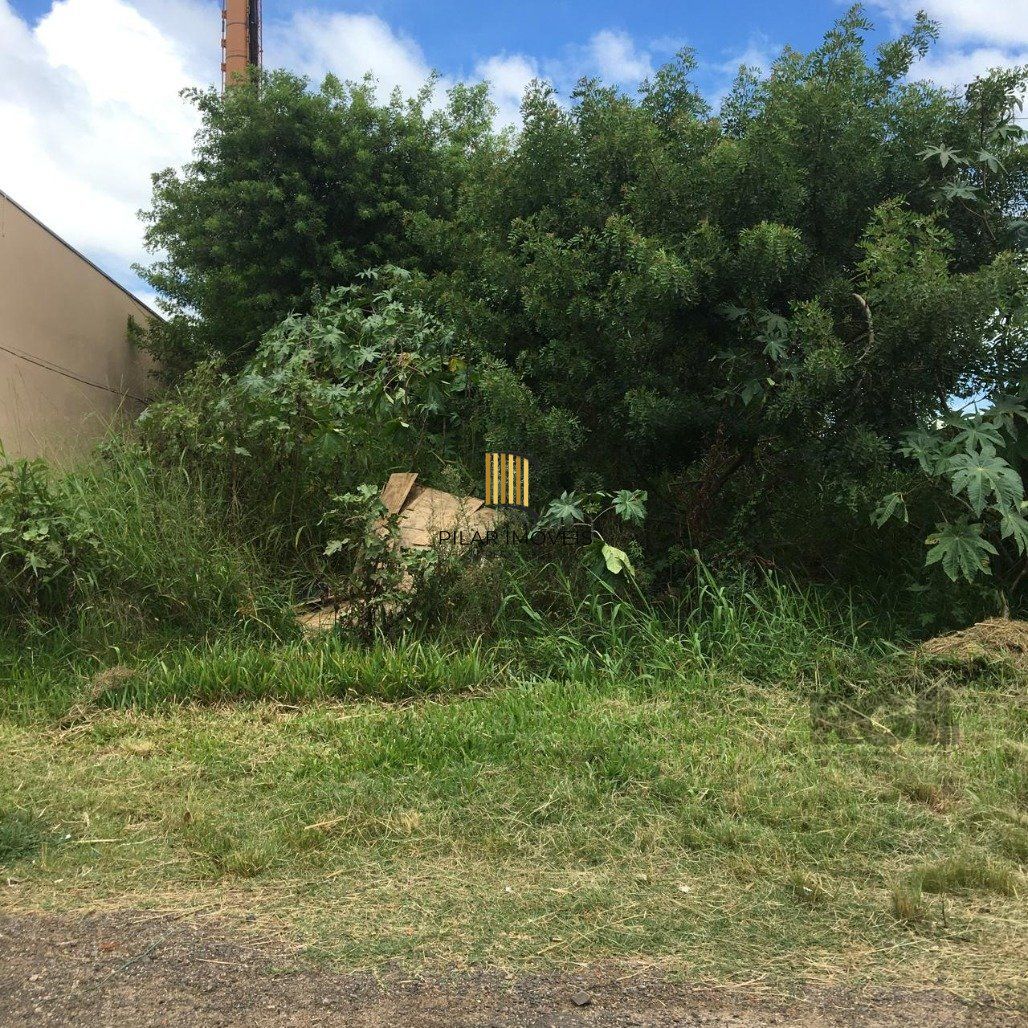 Terreno Bairro Ponta Grossa