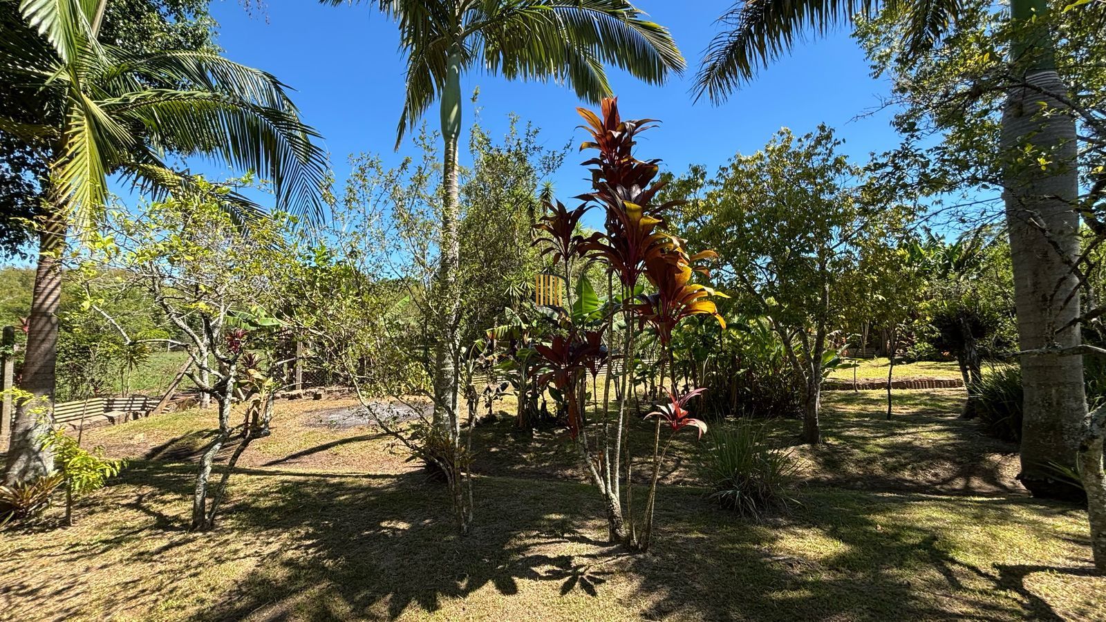 Sítio 5 dormitórios no bairro Chapéu do Sol