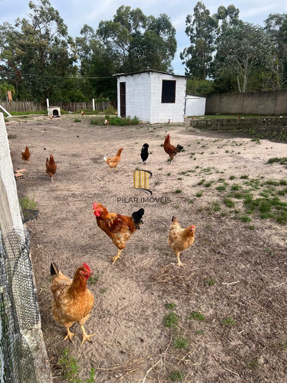 Sítio 2 dormitórios no bairro Lomba do Pinheiro