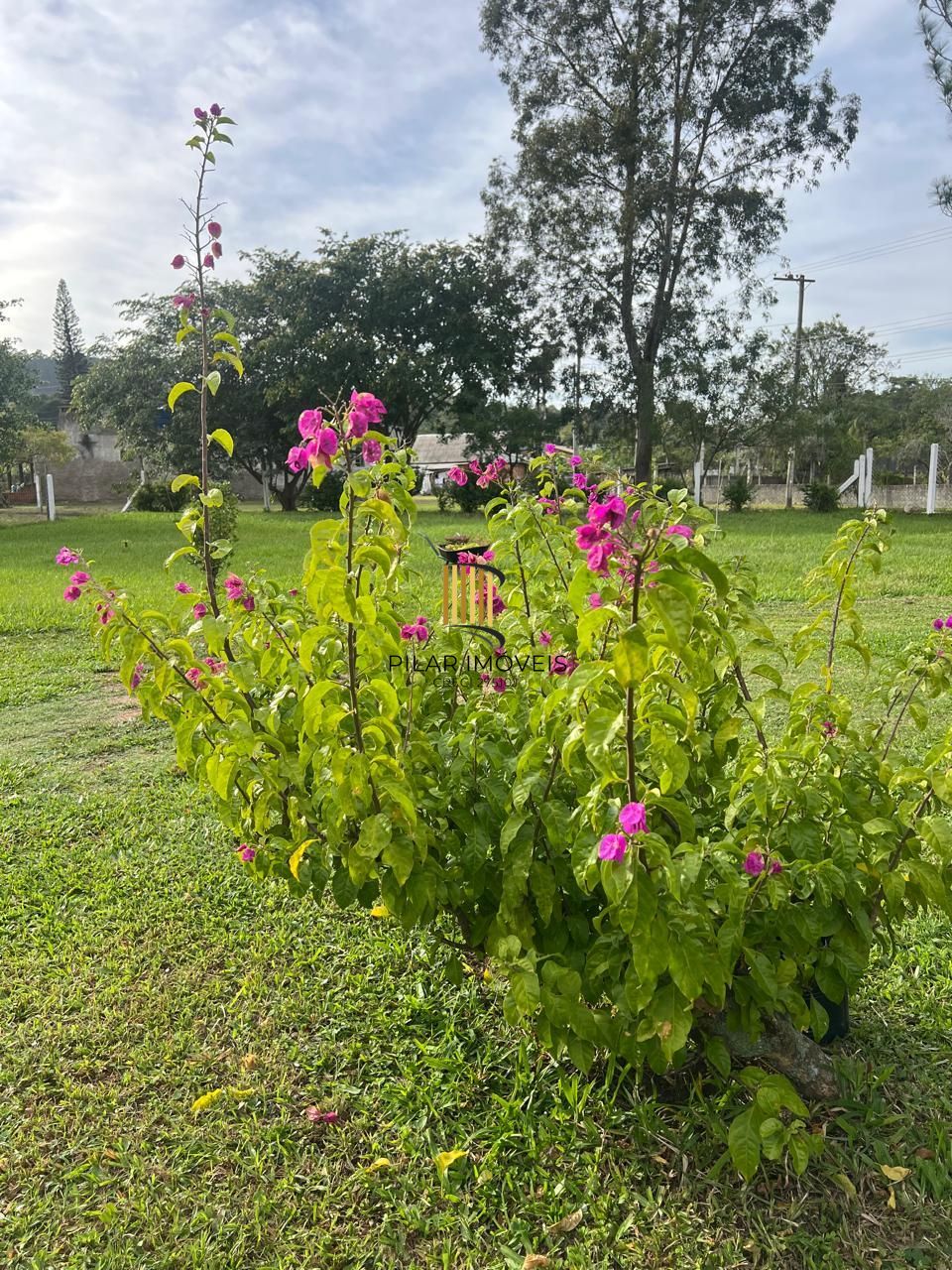Sítio 2 dormitórios no bairro Lomba do Pinheiro