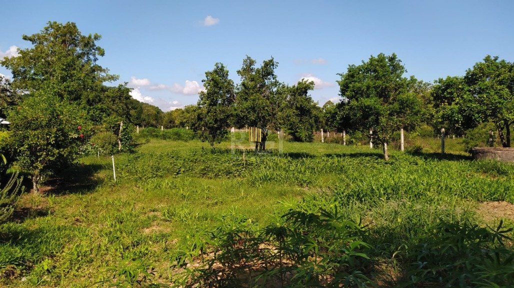 Sítio 3 Dormitório(s) Bairro Lami