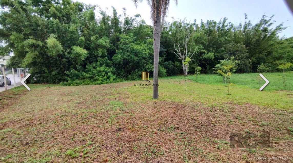 Terreno no bairro Campo Novo