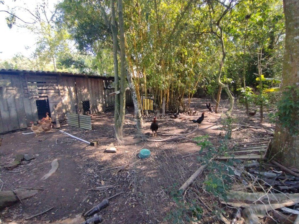 Sítio para Venda - 245m², 4 dormitórios, 10 vagas - Lami