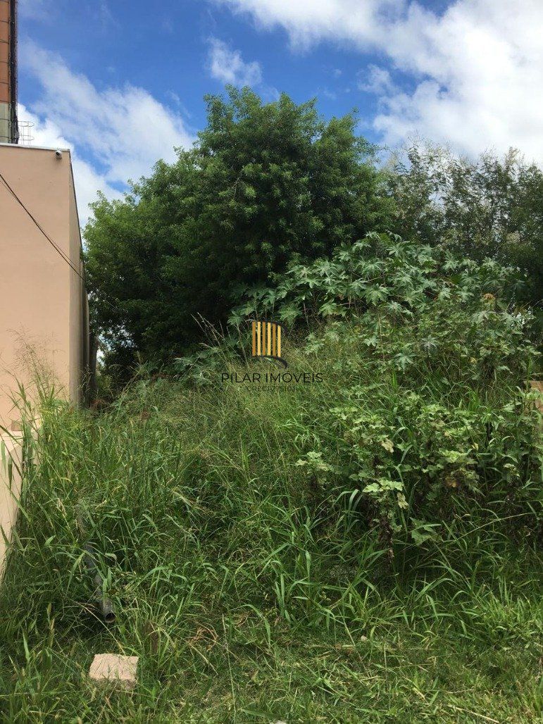 Terreno Bairro Ponta Grossa