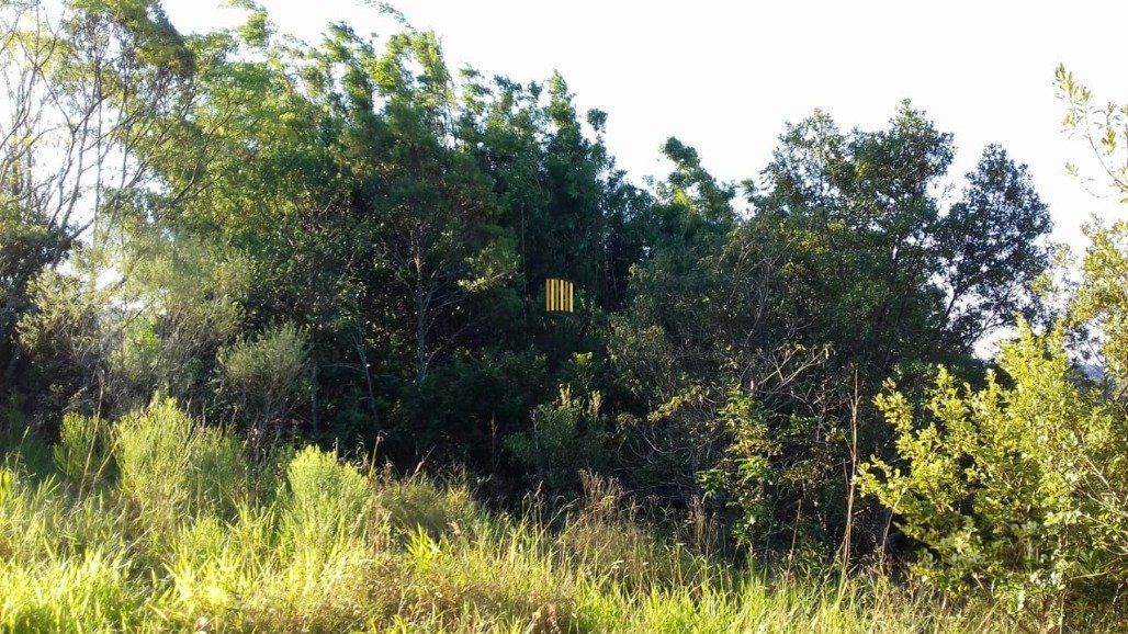 Sítio Bairro Águas Claras
