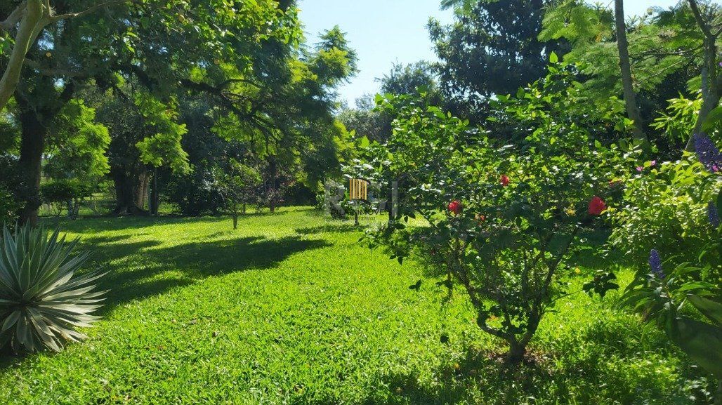 Sítio 3 Dormitório(s) Bairro Lami