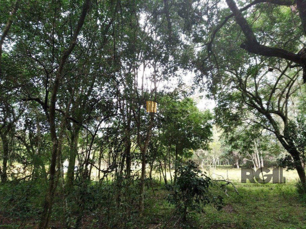 Terreno Bairro Lageado