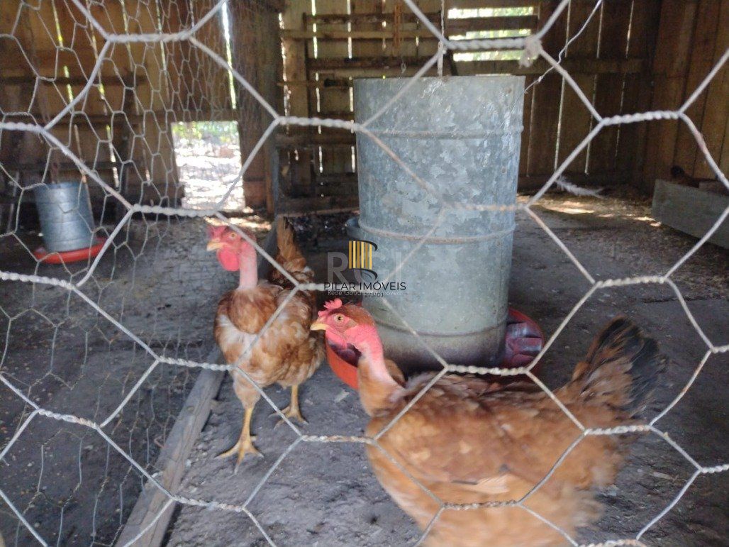 Sítio para Venda - 245m², 4 dormitórios, 10 vagas - Lami